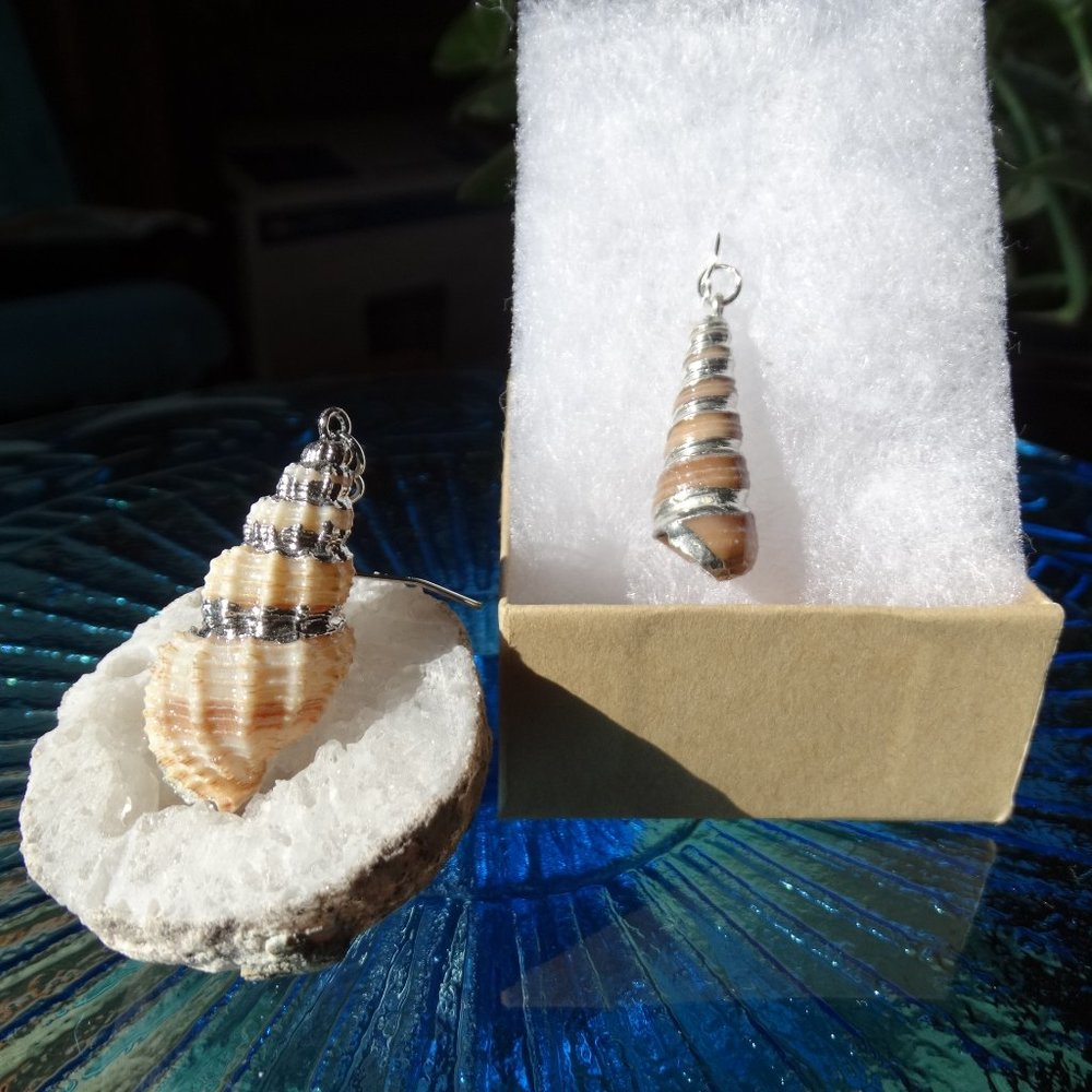 Sterling Silver Plate Shell Earrings